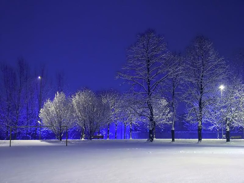 022 - White landscape